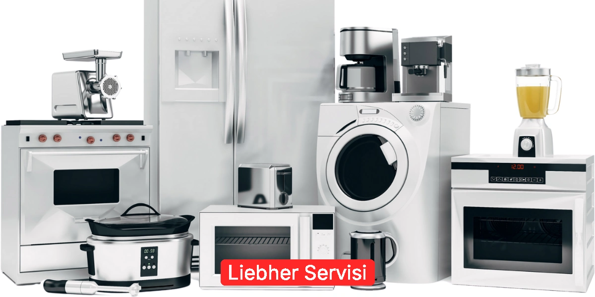 Liebher Servisi