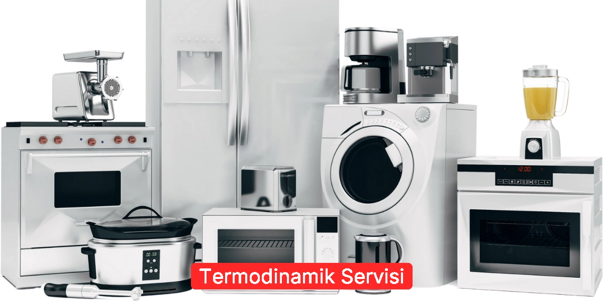 Termodinamik Servisi